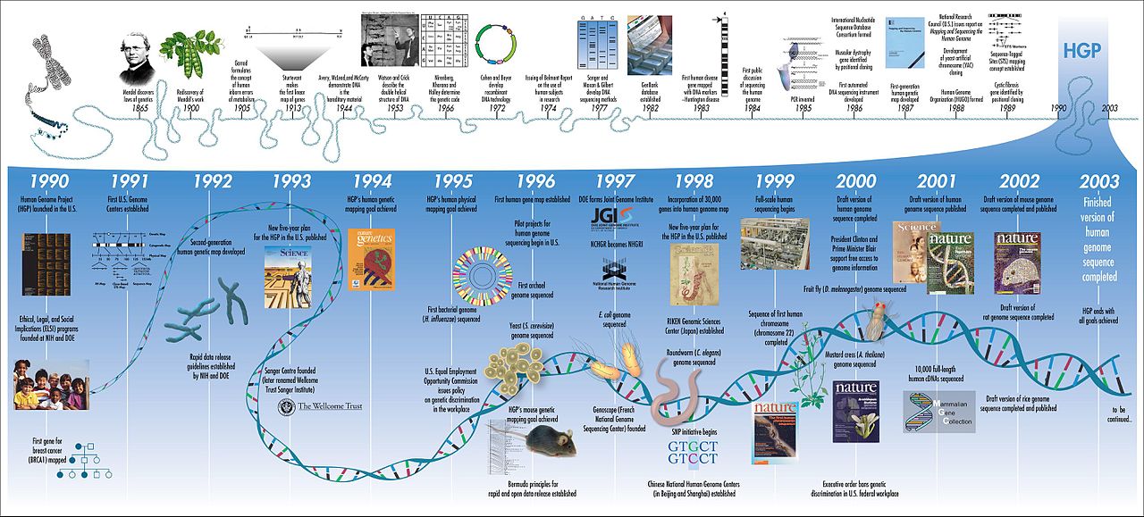 Difference Between Genome and Exome 