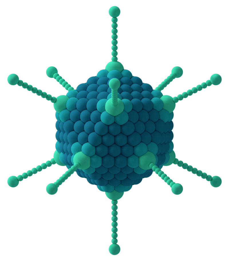 Difference Between Adenovirus and Retrovirus 