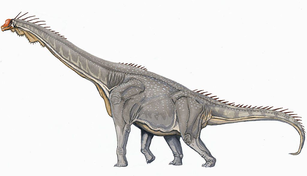 Key Difference - Apatosaurus vs Brachiosaurus