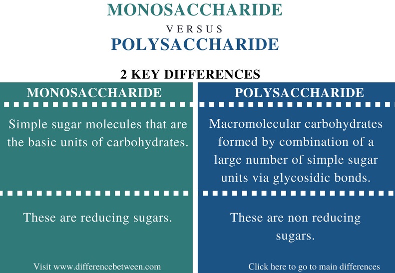 Difference Between Monosaccharide and Polysaccharide - Comparison Summary