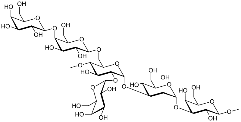 Key Difference Between Monosaccharide and Polysaccharide