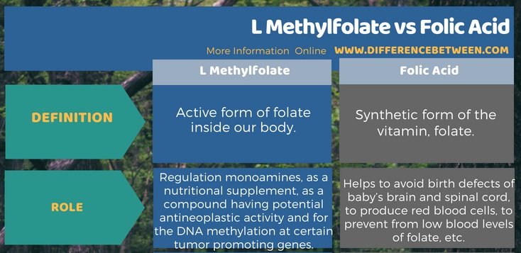 Difference Between L Methylfolate and Folic Acid in Tabular Form