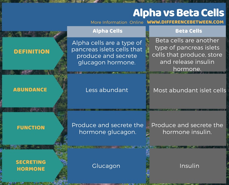 Difference Between Alpha and Beta Cells in Tabular Form