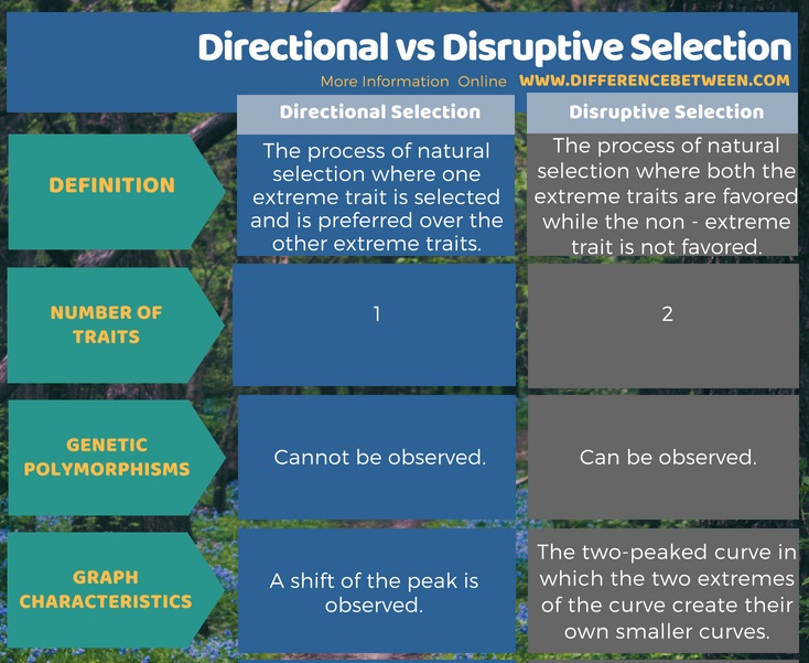 Difference Between Directional and Disruptive Selection in Tabular Form