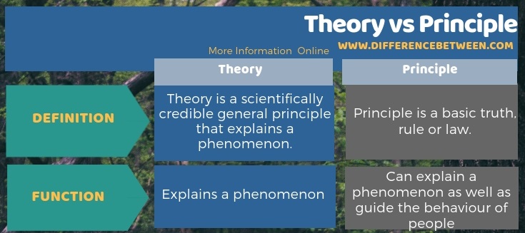 Difference Between Theory and Principle in Tabular Form