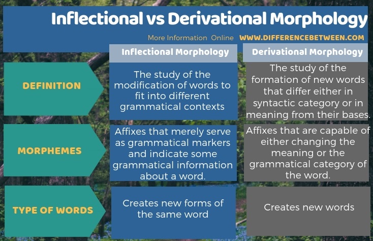 Difference Between Inflectional and Derivational Morphology in Tabular Form