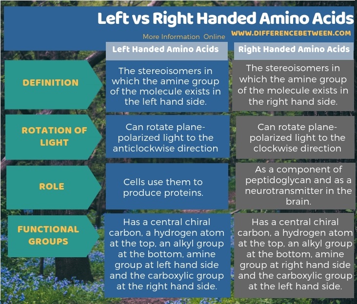 Difference Between Left and Right Handed Amino Acids in Tabular Form