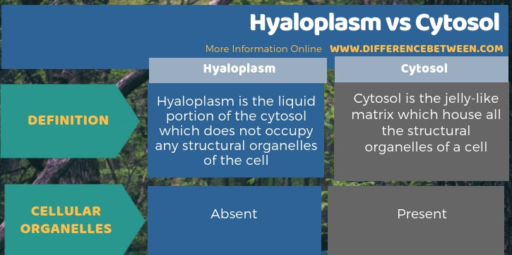 Difference Between Hyaloplasm and Cytosol in Tabular Form