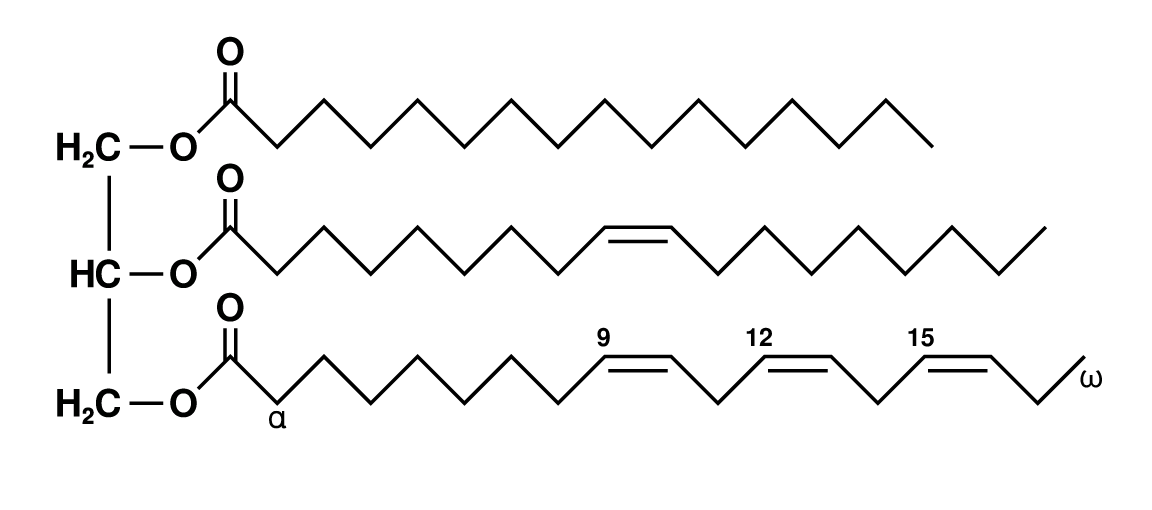 Key Difference - Simple vs Complex Lipids