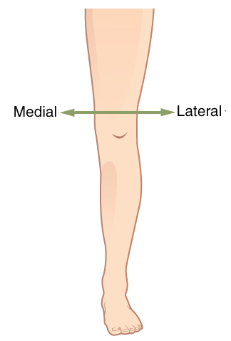 Medial vs Lateral