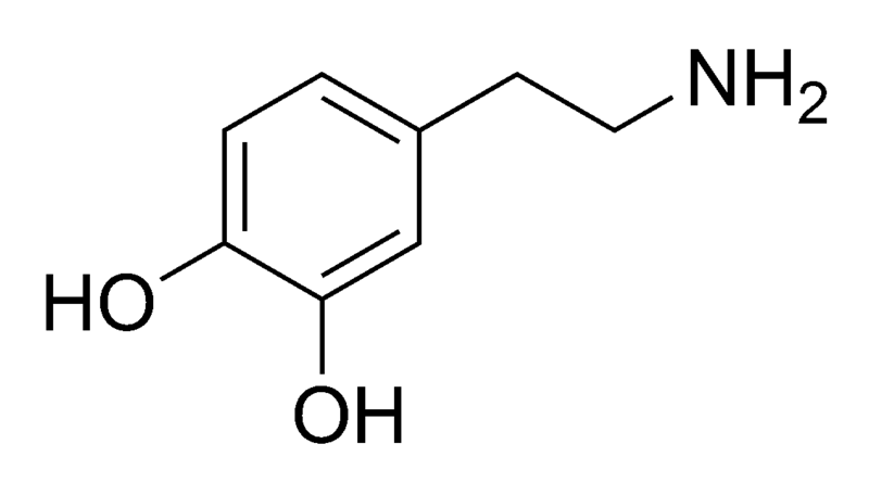 Key Difference - Inotropic vs Chronotropic