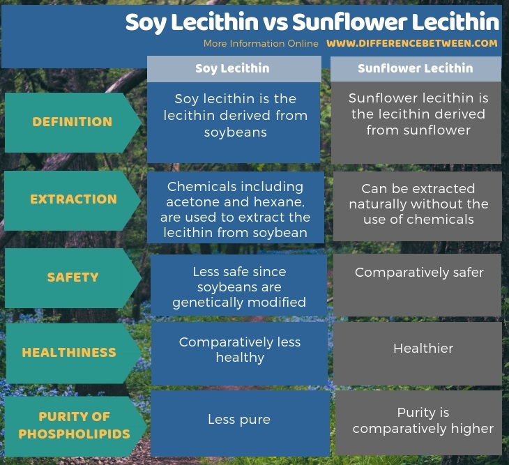 Difference Between Soy Lecithin and Sunflower Lecithin in Tabular Form