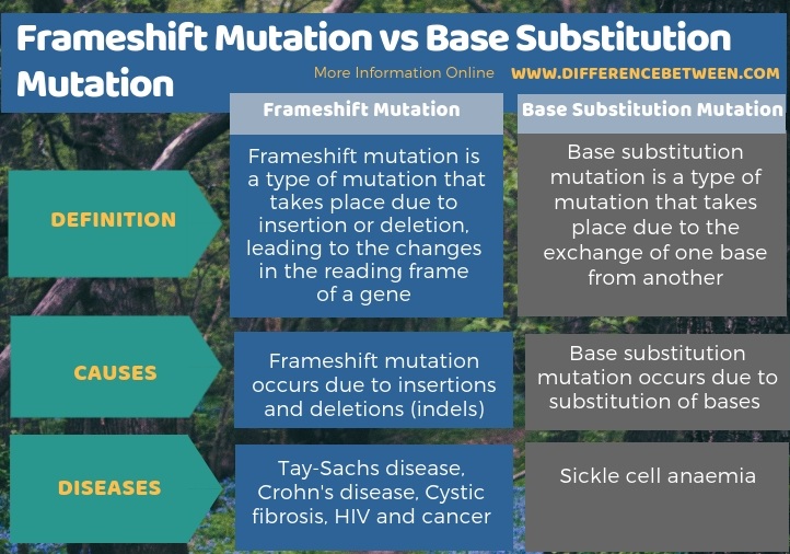 Difference Between Frameshift Mutation and Base Substitution Mutation in Tabular Form