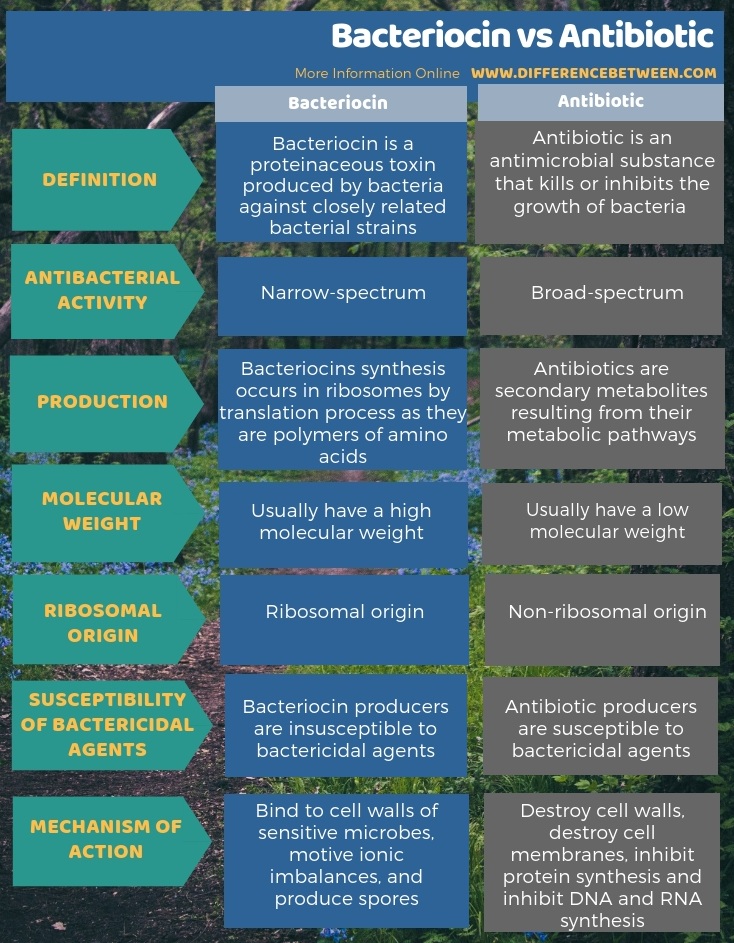 Difference Between Bacteriocin and Antibiotic in Tabular Form