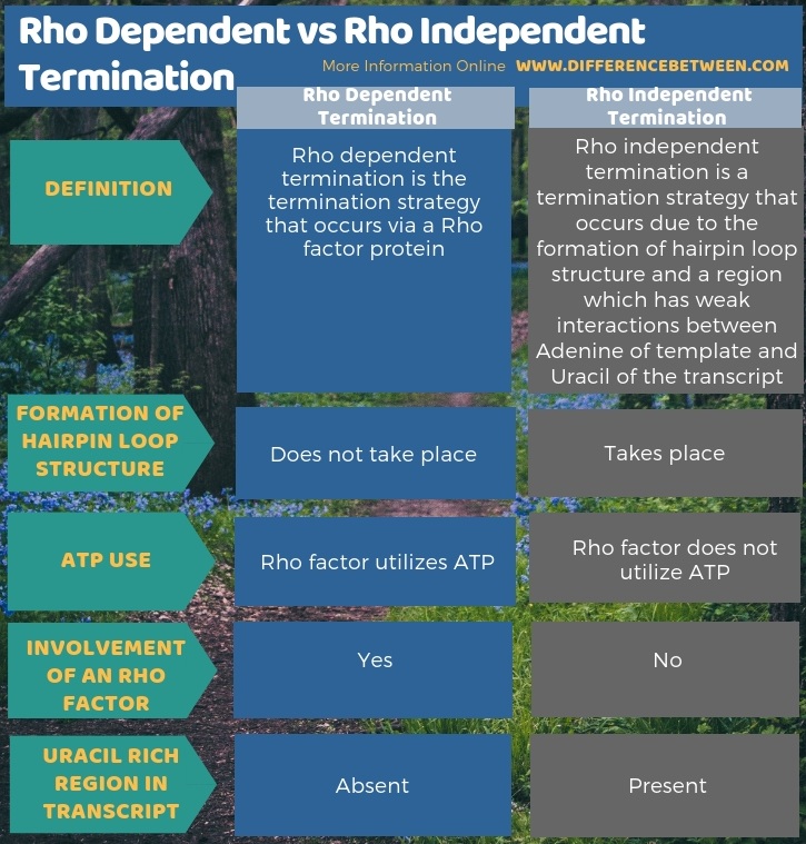 Difference Between Rho Dependent and Rho Independent Termination in Tabular Form