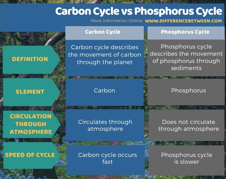 Difference Between Carbon Cycle and Phosphorus Cycle in Tabular Form