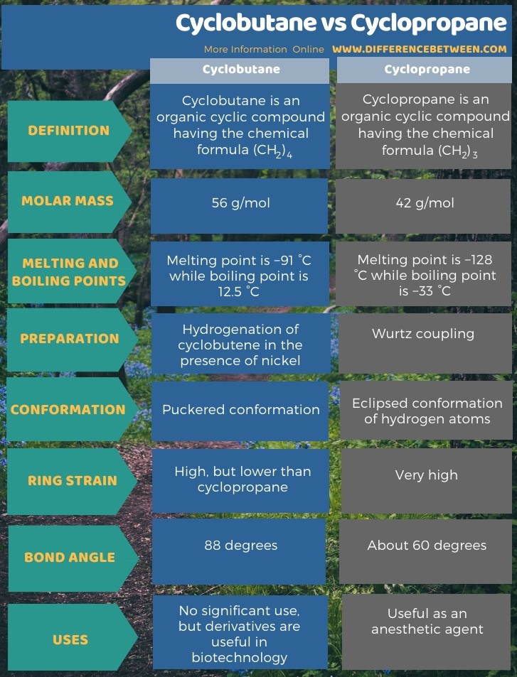 Difference Between Cyclobutane and Cyclopropane in Tabular Form