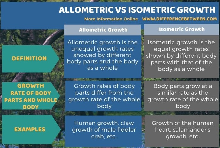 Difference Between Allometric and Isometric Growth in Tabular Form