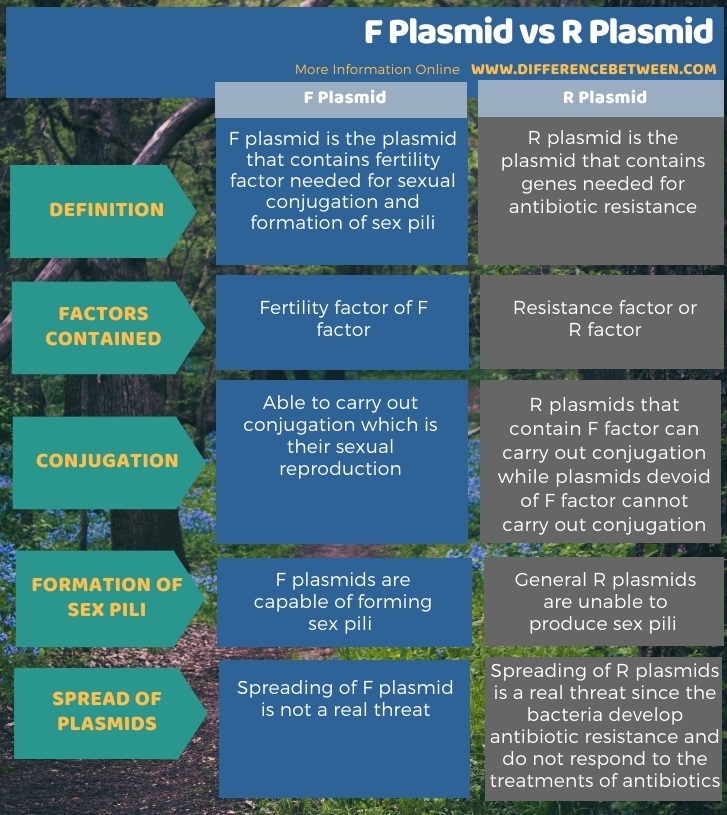 Difference Between F Plasmid and R Plasmid in Tabular Form