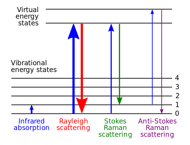 Key Difference - Electronic Rotational vs Vibrational Transition