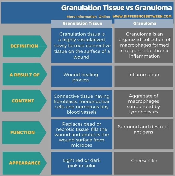 Difference Between Granulation Tissue and Granuloma in Tabular Form