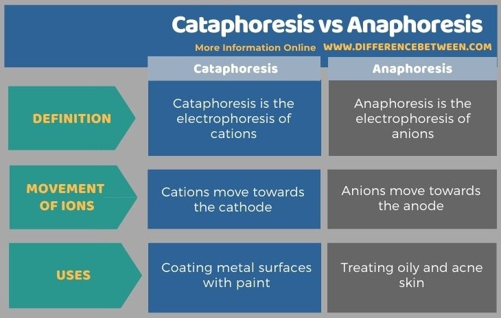 Difference Between Cataphoresis and Anaphoresis in Tabular Form