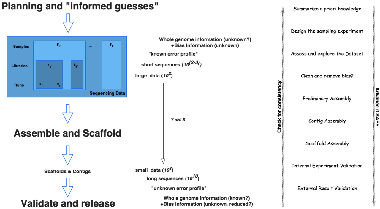 Difference Between Contig and Scaffold