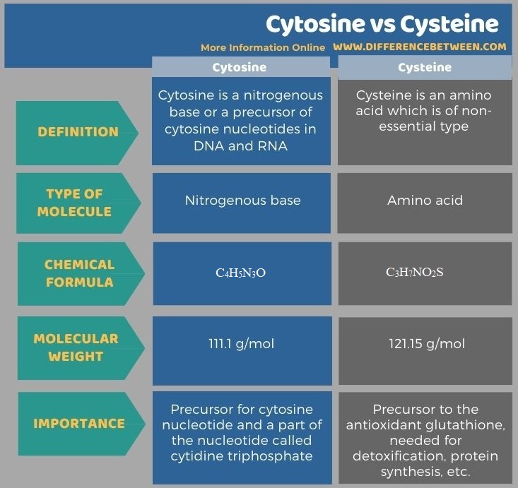 Difference Between Cytosine and Cysteine in Tabular Form