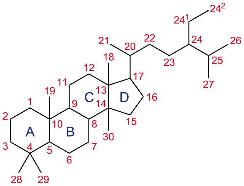 Difference Between Steroid and Corticosteroid