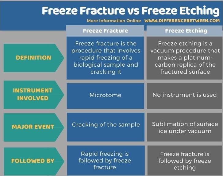 Difference Between Freeze Fracture and Freeze Etching in Tabular Form