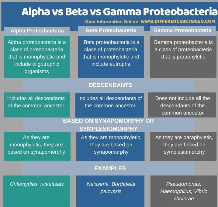 Difference Between Alpha Beta and Gamma Proteobacteria in Tabular Form