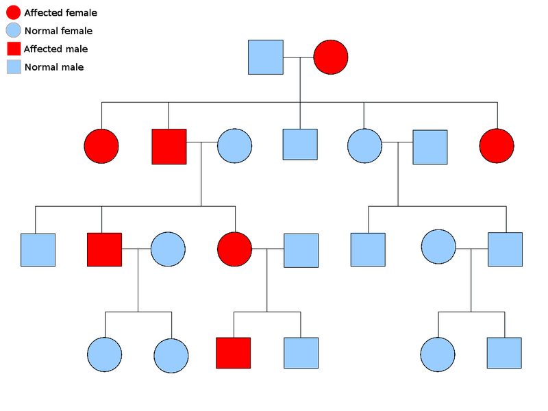 Difference Between Autosomal Dominant and Autosomal Recessive Disorders