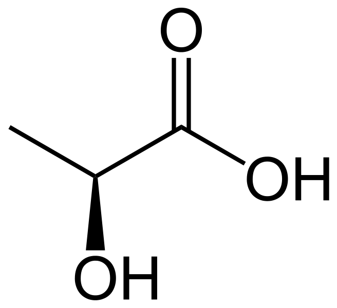 Key Difference - Ethanol Fermentation vs Lactic Acid Fermentation