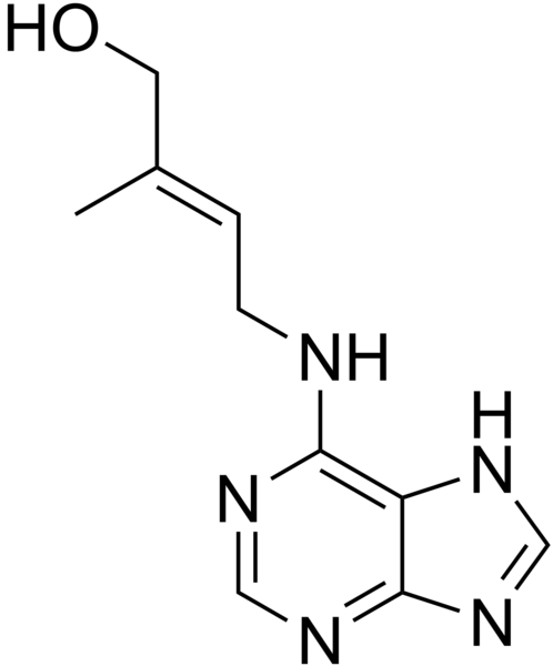 Auxin Gibberellin and Cytokinin - Key Differences