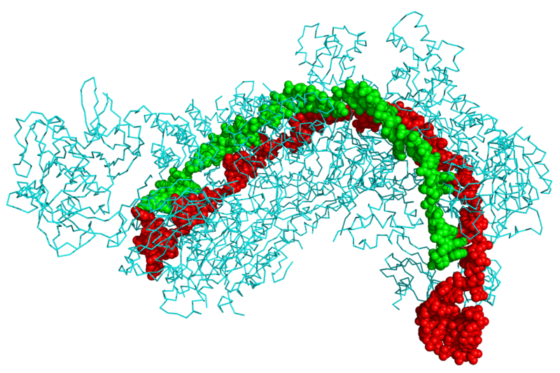 CAR-T and CRISPR - Side by Side Comparison 