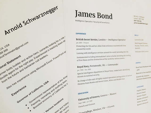 Portfolio vs Resume in Tabular Form