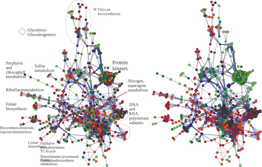 Bioinformatics vs Computational Biology in Tabular Form