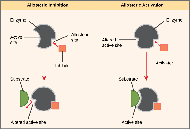 Positive vs Negative Allosterism in Tabular Form