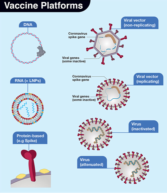 Viral vs Nonviral Vectors in Tabular Form