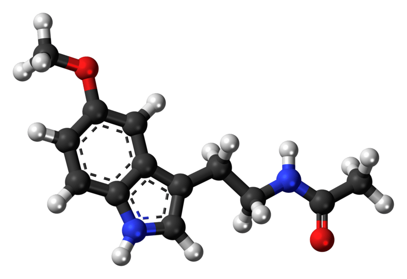 Circadin and Melatonin - Side by Side Comparison 