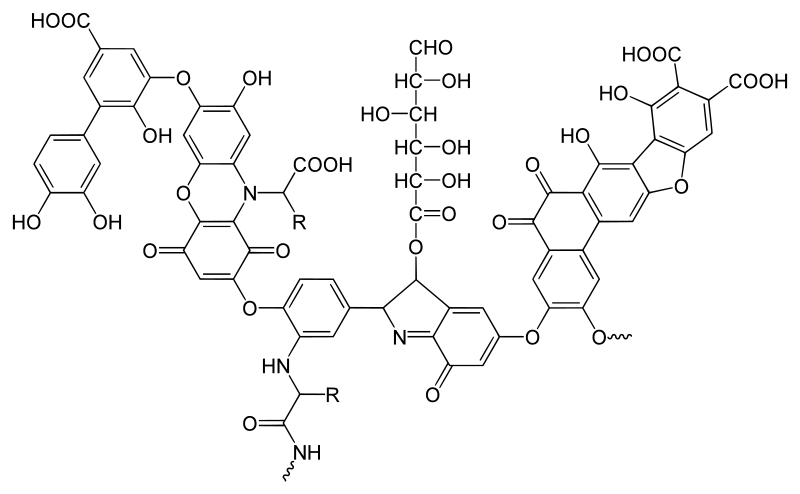 Humic Acid Fulvic Acid and Humin - Side by Side Comparison 