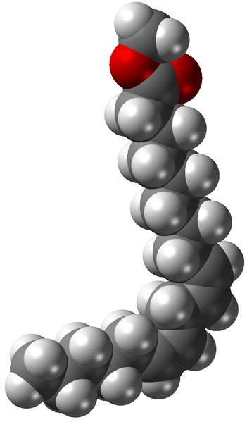 Fatty Alcohol vs Fatty Acid vs Fatty Ester in Tabular Form