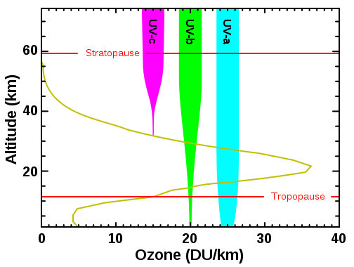 UVA and UVB Rays - Side by Side Comparison 