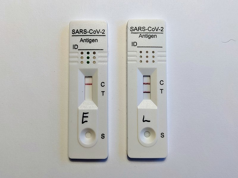 HTLV 1 and 2 - Side by Side Comparison 