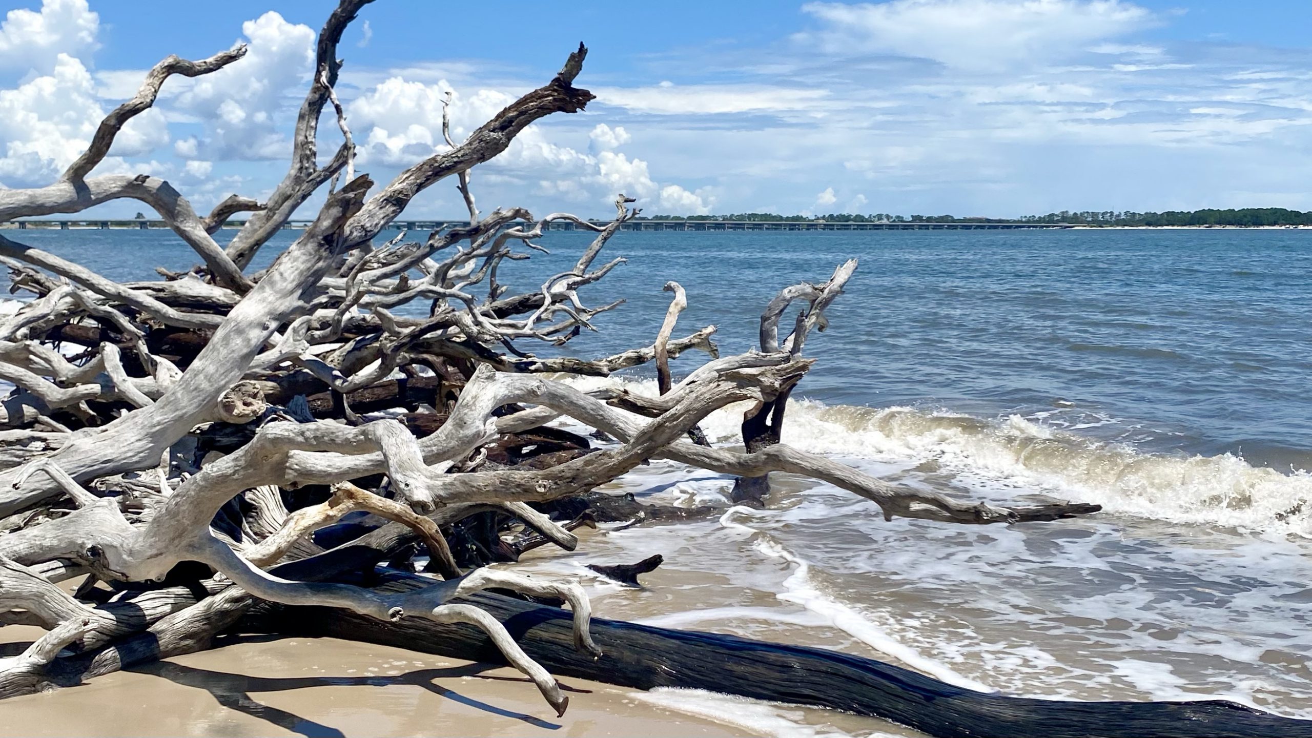 Day Trips Archives Florida Lives