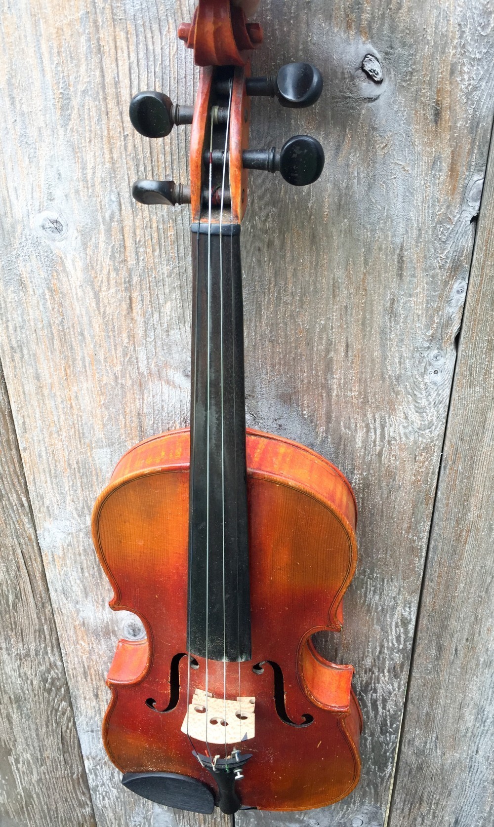 A fiddle