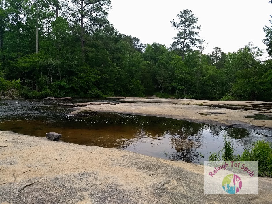 Mitchell Mill State Natural Area Raleigh Tot Spots