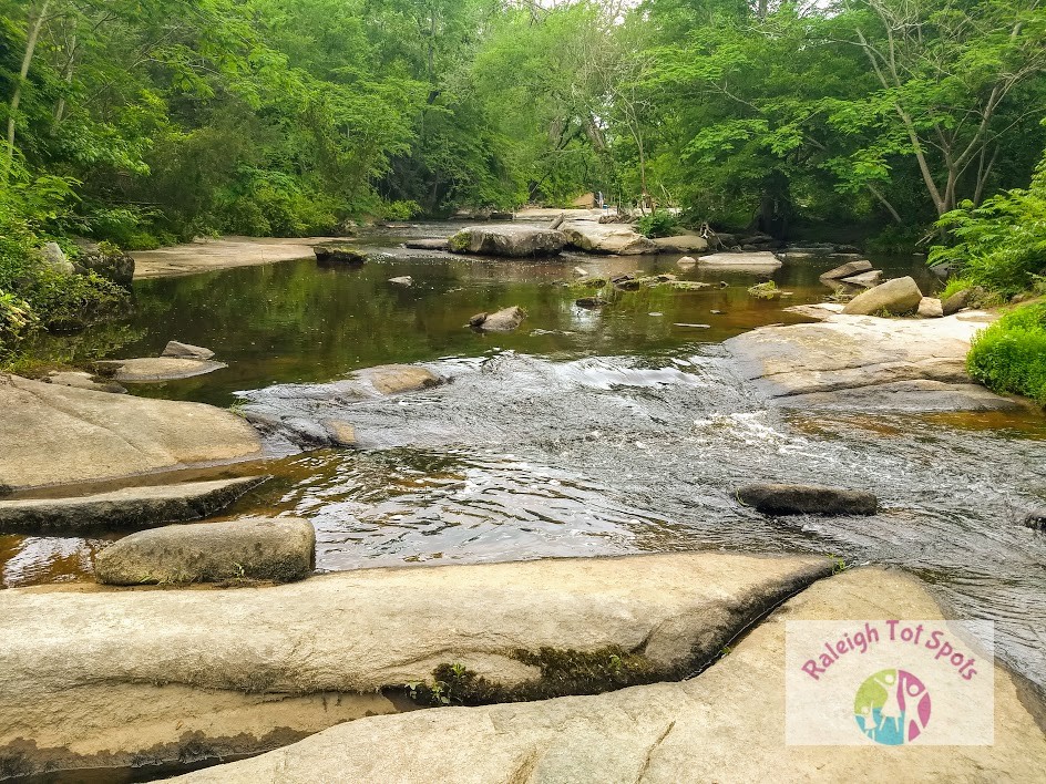 Mitchell Mill State Natural Area Raleigh Tot Spots