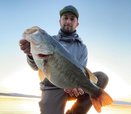 David Burruss, owner of Clear Lake Outdoors in Lakeport, caught this 8-pound bass on Wednesday using an Alabama rig lure. (Courtesy photo)