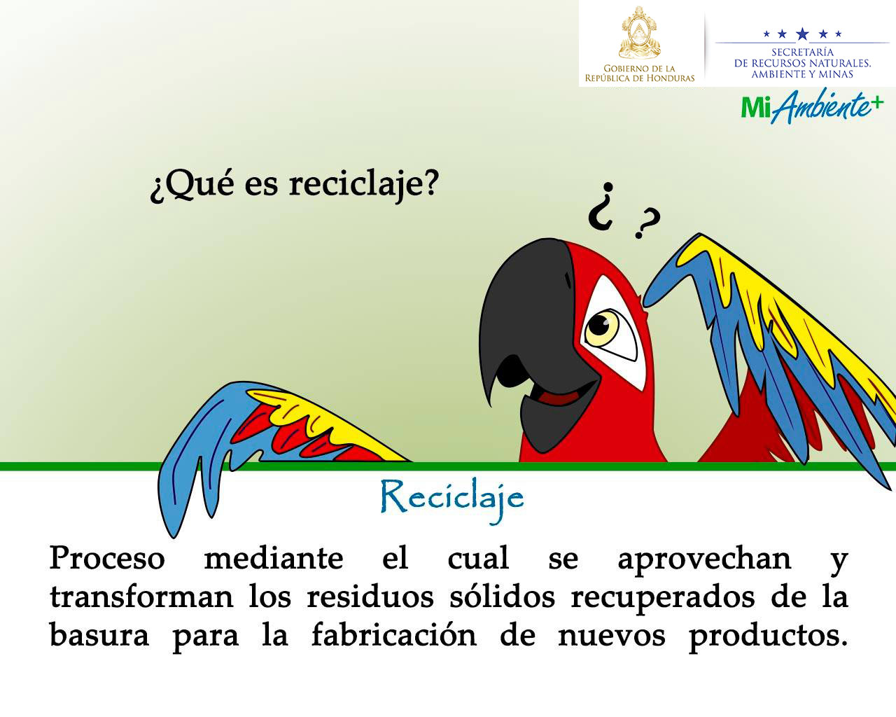 ARTE6